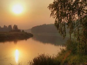 a070c2df0829ea3c2b1369429fc59c57